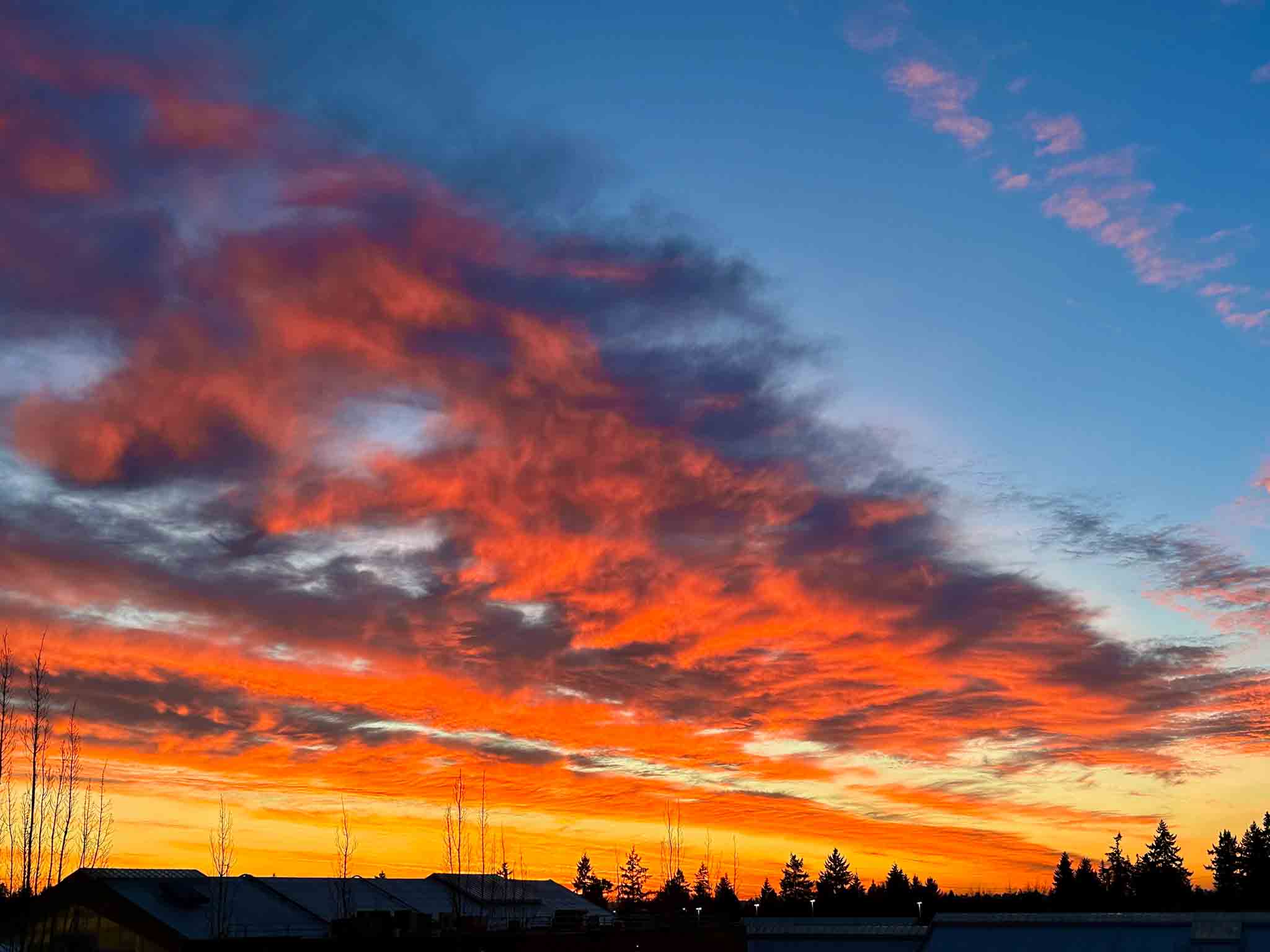 Bellevue, Washington